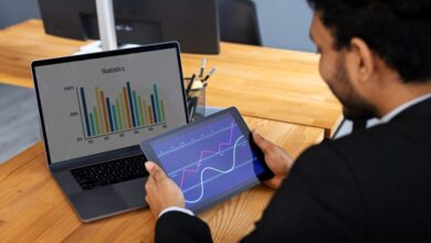 Software development